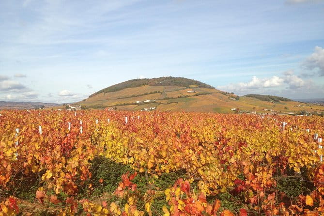 Beaujolais Crus Wines & Castles (9:00 am - 1:30 pm) - Small Group Tour from Lyon - Authentic Experiences and Unique Touches