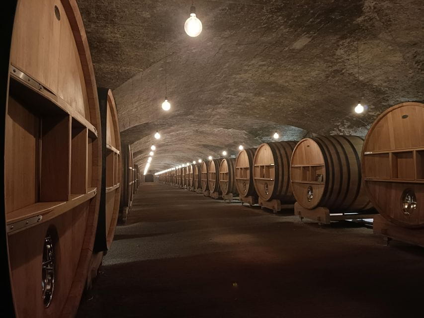 Beaujolais - Pérouges: Full Day Shared Trip - Tasting Wines From the Domain