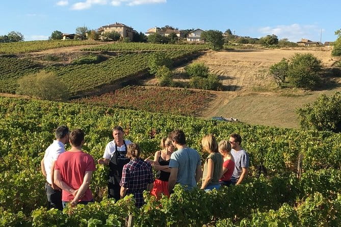 Beaujolais & Perouges Medieval Town - Private Tour - Full Day from Lyon - Key Points
