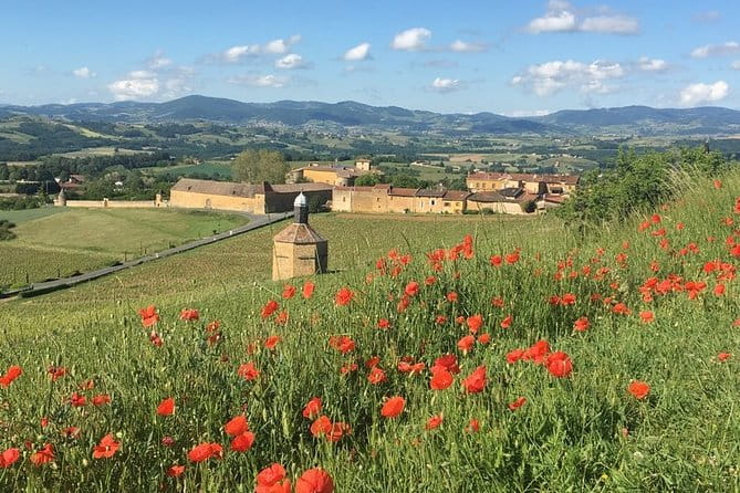 Beaujolais & Perouges Medieval Town - Private Tour - Full Day from Lyon - Detailed Review of the Experience