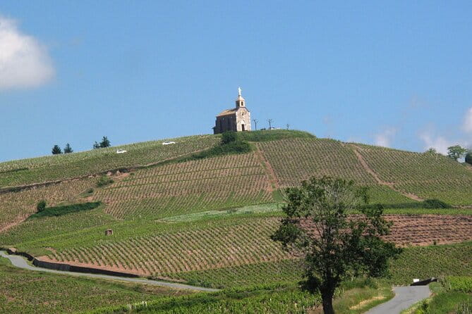 Beaujolais Region Wine Tasting Private Day Tour from Lyon - Key points / Takeaways