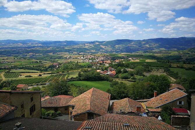 Beaujolais Wine Tour - Tastings & Gourmet Picnic Lunch - Key points / Takeaways