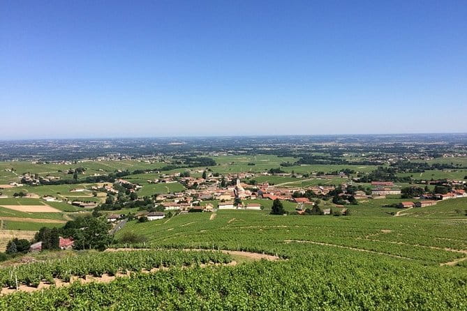 Beaujolais Wines & Castles - Private Tour - Half Day - Discovering the Beaujolais Region: What the Tour Offers
