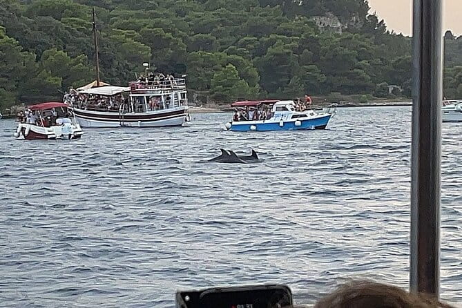 Beautiful Sunset and Dolphin Watching - Discovering the Charm of Croatia’s Dolphin Sunset Tour