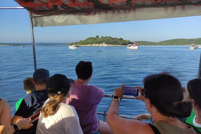 Beautiful Sunset and Dolphin Watching - Practical Tips for the Best Experience