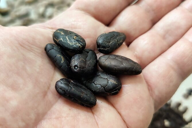 Become a chocolatier for a day, in Modica raw chocolate - A Closer Look at the Experience