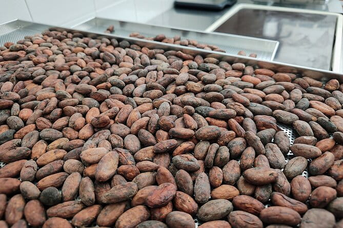 Become a chocolatier for a day, in Modica raw chocolate - Who Would Love This Tour?