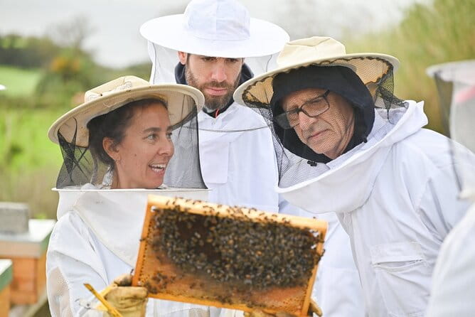 Bee Inspired: A Journey in São Miguel and a Visit to an Apiary - Who Will Love This Tour?