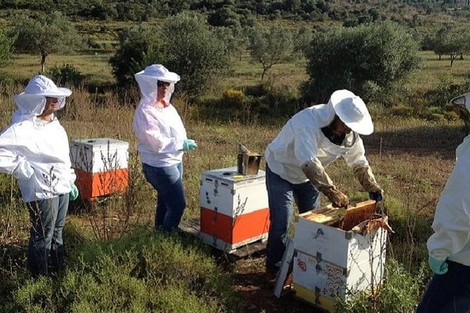 Beekeeper for a Day close to Nafplio - Key points / Takeaways