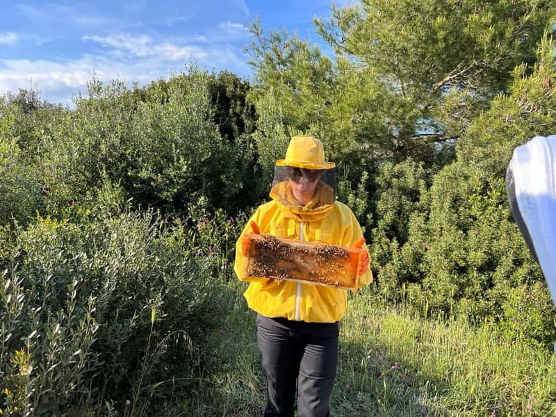 Beekeeper for a Day in the Torre Guaceto Reserve - Key Points / Takeaways