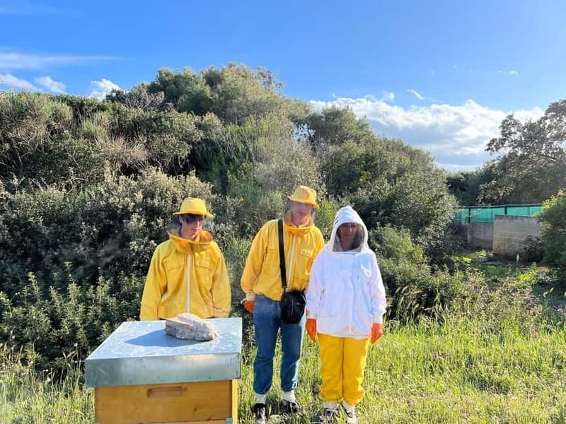Beekeeper for a Day in the Torre Guaceto Reserve - Introduction to the Beekeeper for a Day Experience in Torre Guaceto