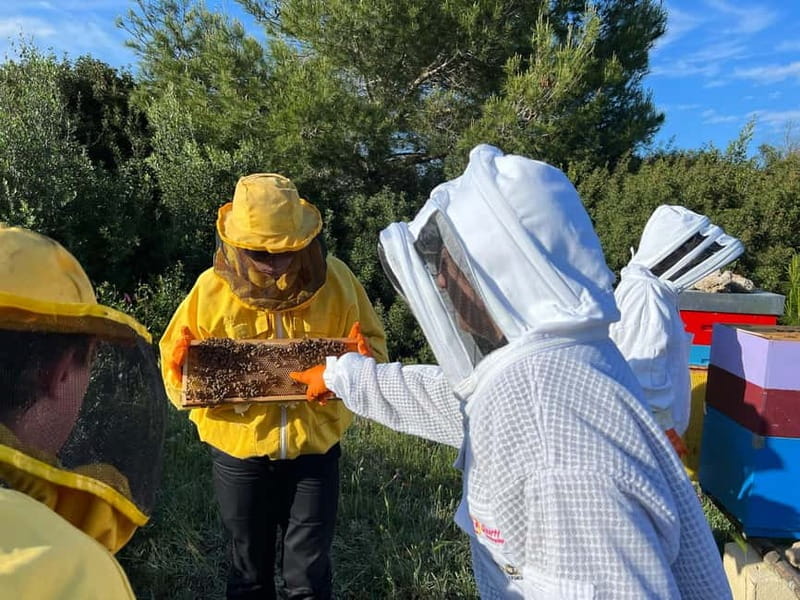 Beekeeper for a Day in the Torre Guaceto Reserve - Transportation, Duration, and Practicalities