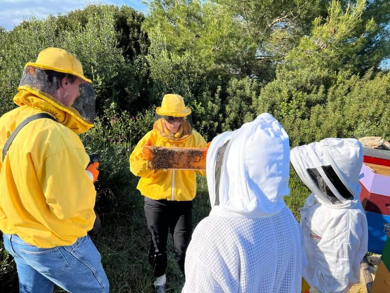 Beekeeper for a Day in the Torre Guaceto Reserve - Who Will Love This Experience?