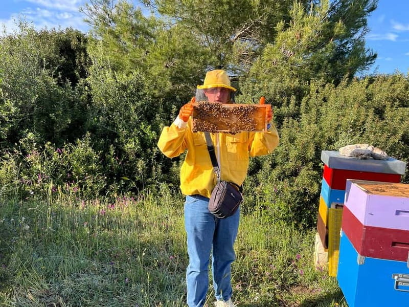 Beekeeper for a Day in the Torre Guaceto Reserve - Price and Logistics: A Good Deal?