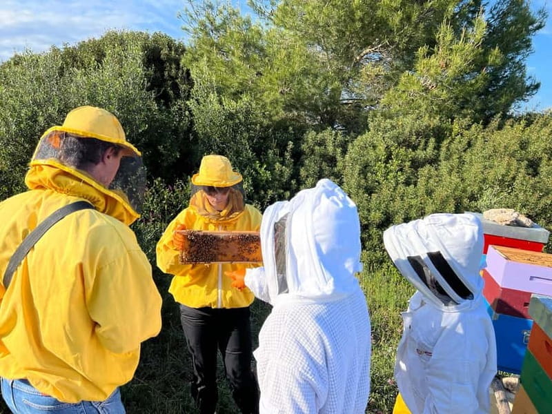 Beekeeper for a Day in the Torre Guaceto Reserve - Final Thoughts: Is It Worth It?