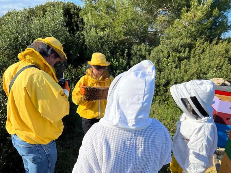 Beekeeper for a Day in the Torre Guaceto Reserve - FAQ