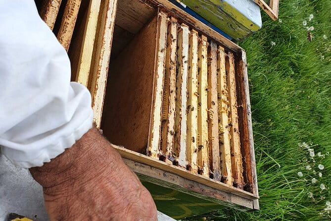 Bees Adventure in Romania - Private Day Trip from Bucharest - An In-Depth Look at the Beekeeping Adventure