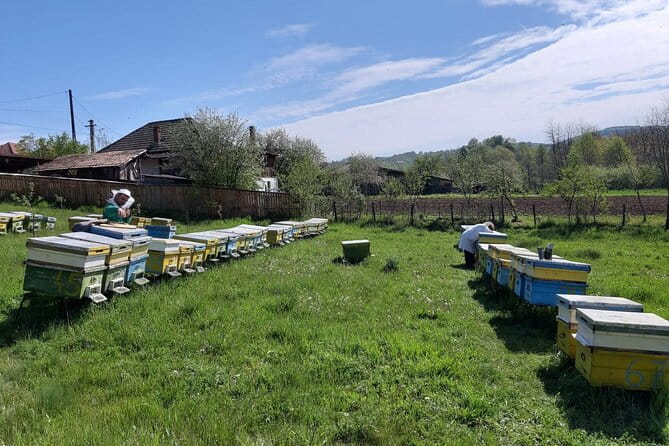 Bees Adventure in Romania - Private Day Trip from Bucharest - Who Should Consider This Tour?