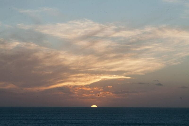 Beginner Foraging Walk: Wild food walking tour & tasters - Final Thoughts