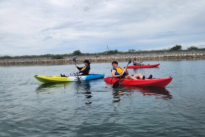 Beginner Friendly Stand Up Paddle Boarding Tour in Awaji Island - Booking Process and Pricing