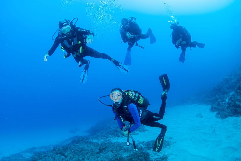 Beginner Scuba Dive With Scubapoint Tenerife in Turtle Area - Experience Details