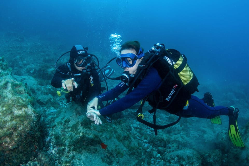 Beginner Scuba Dive With Scubapoint Tenerife in Turtle Area - Included in the Package
