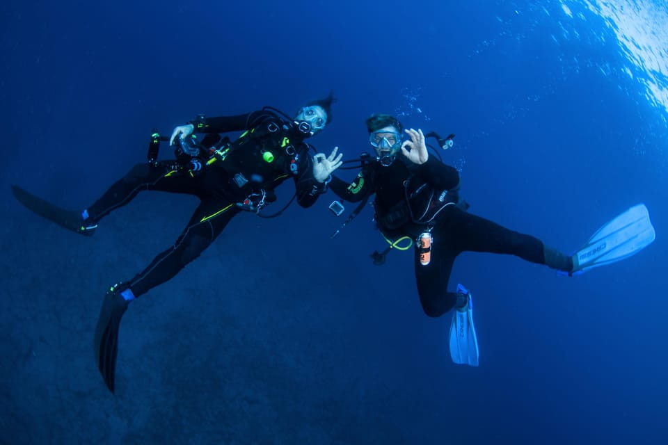 Beginner Scuba Dive With Scubapoint Tenerife in Turtle Area - Customer Feedback