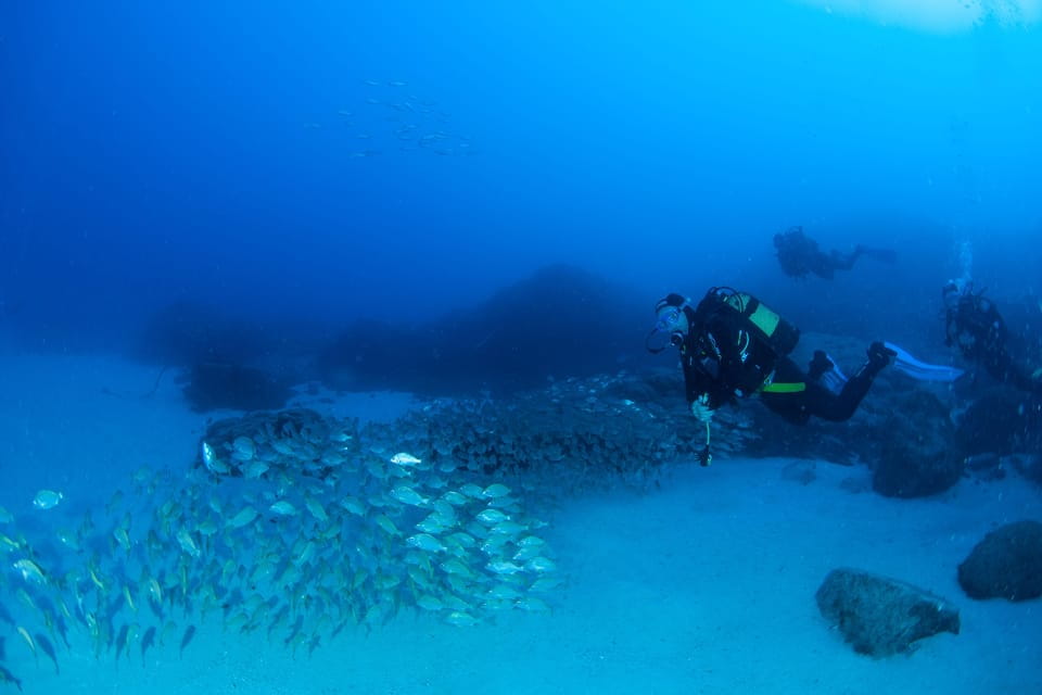 Beginner Scuba Dive With Scubapoint Tenerife in Turtle Area - Safety Considerations