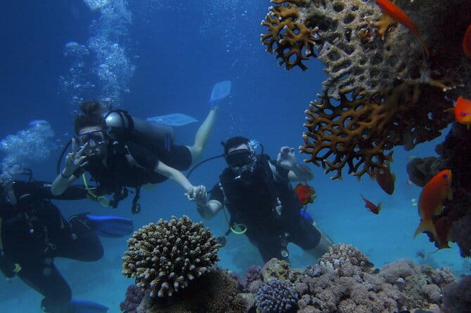 Belek Scuba Diving Experience (2 Dives) With Lunch - Who Will Love This Tour