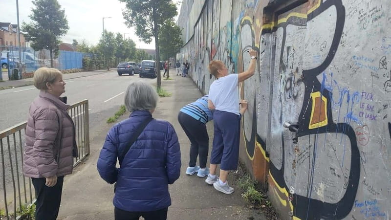 Belfast City and the Peace Walls Half-Day Tour - The Black Taxi Route: Walking Through Belfast’s Divided Neighborhoods