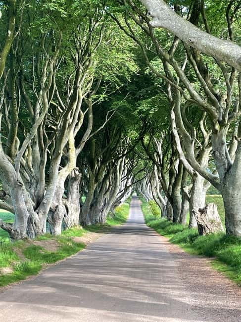 Belfast: Game of Thrones and Giants Causeway Private Tour - A Deep Dive Into the Experience