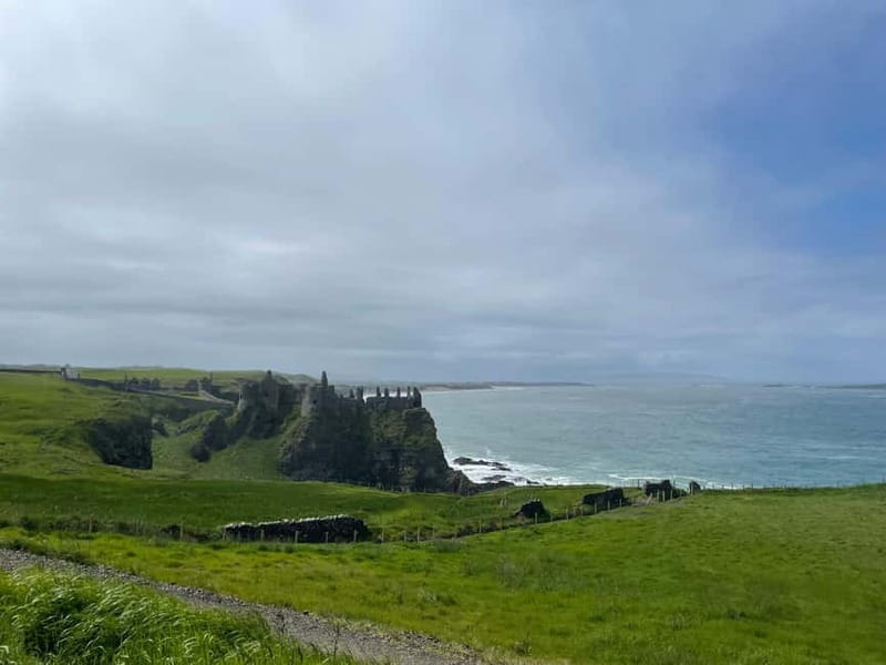 Belfast: Giant's Causeway and Game of Thrones Tour - Crossing the Carrick-A-Rede Rope Bridge: A Thrilling Viewpoint