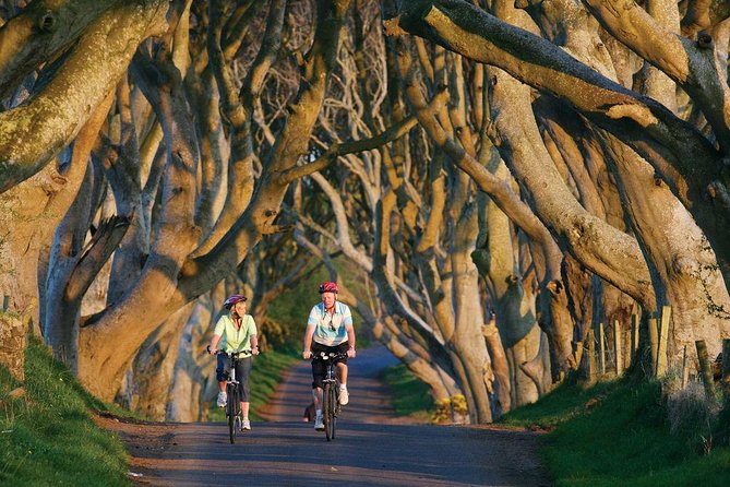 Belfast - Giants Causeway , Dunluce Castle and Dark Hedges - Logistics