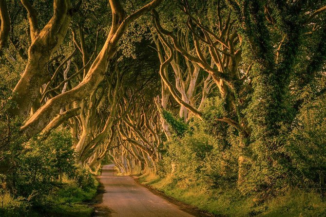 Belfast - Giants Causeway , Dunluce Castle and Dark Hedges - What to Bring and Wear