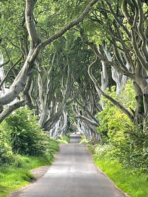 Belfast: Giants Causeway Tour Cruise Ship Excursion - Key points / Takeaways