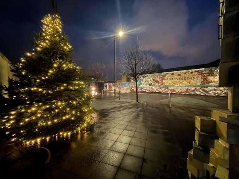 Belfast: Peace Wall & Mural Tour - Key points / Takeaways