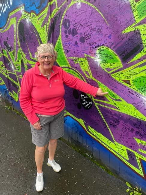 Belfast: Peacewall and Political History Black Taxi Cab Tour - Who Should Book This Tour?