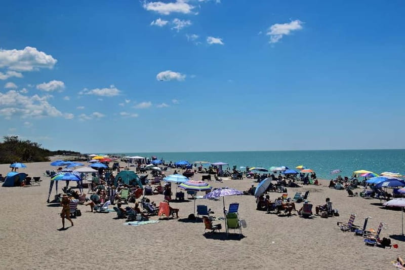 Belfast: Private Giant's Causeway Tour with Luxury Vehicle - Final Thoughts: A Truly Special Day Out