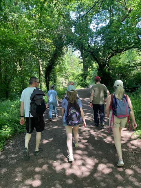 Belfast: Sir Thomas & Lady Dixon Park Walk & Alfresco Picnic - Key points / Takeaways