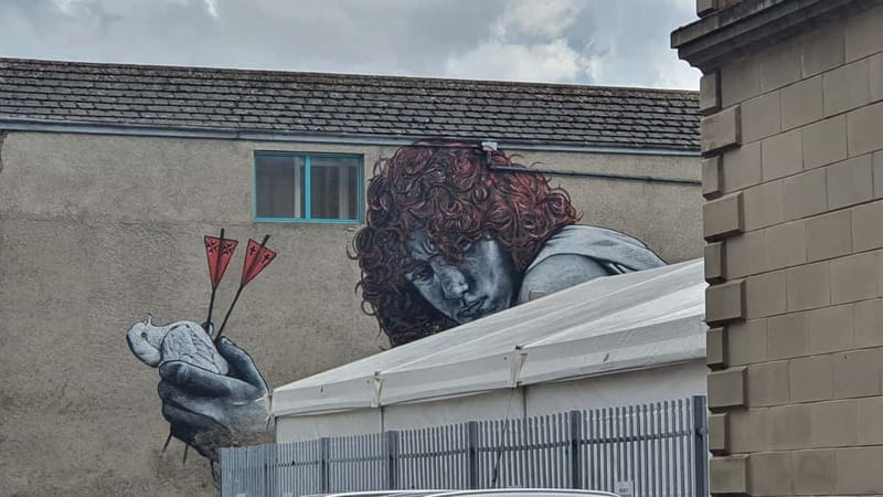 Belfast Troubles : Murals, Street Art, and Peace Wall Tour - Who Will Love This Tour?
