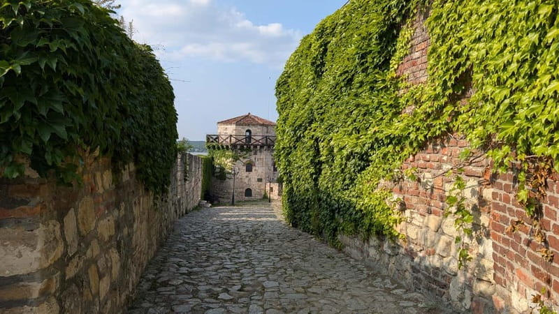 Belgrade: 3-Hour Serbian History Walking Tour - Who Should Consider This Tour?