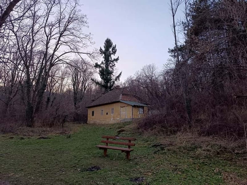 Belgrade: Kosutnjak forest hiking tour - An Authentic Nature Escape in the Heart of Belgrade