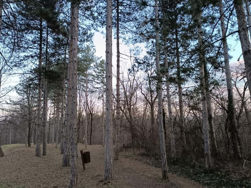 Belgrade: Kosutnjak forest hiking tour - Final Thoughts