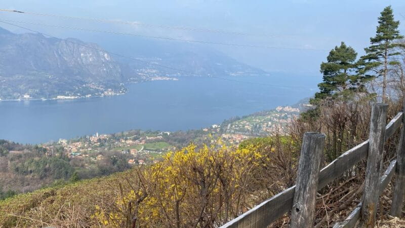 Bellagio: Exclusive picnic at the agrofarm with scenic view - Key points / Takeaways