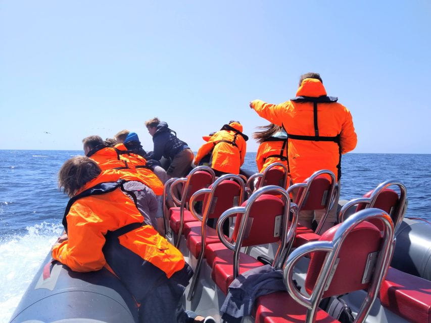 Benagil Caves - Company Information