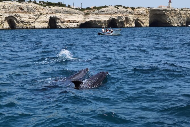 Benagil Caves Tour From Portimao - Meeting and Pickup
