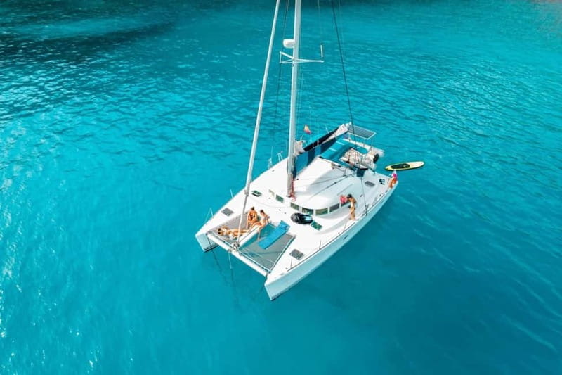 Benalmádena 2-hour Group Tour with Dolphin Watching - Key Points and Takeaways