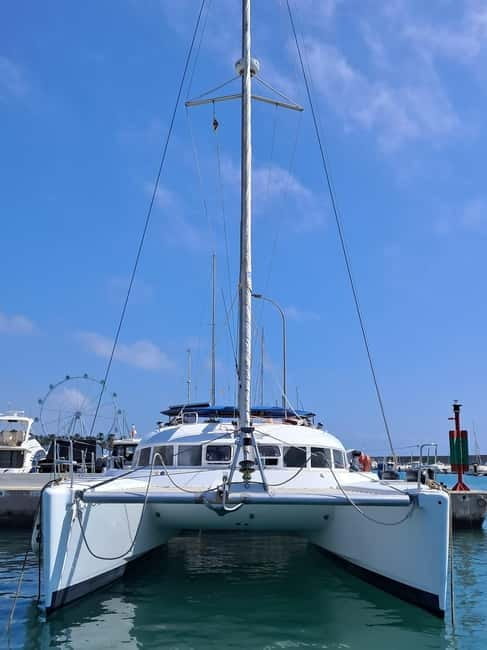 Benalmádena 2-hour Group Tour with Dolphin Watching - Who Will Love This Tour?