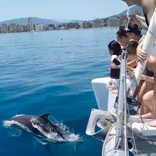 Benalmádena 2-hour Group Tour with Dolphin Watching - Price, Logistics, and Practical Tips