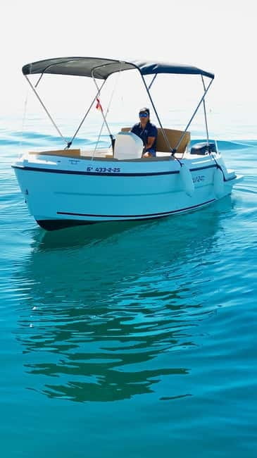 Benalmádena: license-Free Rent Boat for Dolphin Watching - Price and Logistics